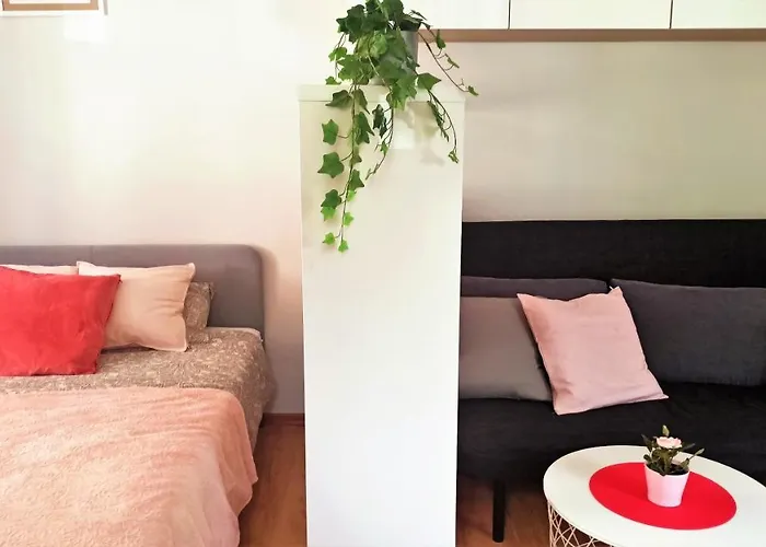 Daire Malinowy Swietoduska 12 *